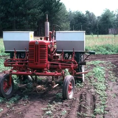 thumbnail for publication: Commercial Vegetable Fertilization Principles
